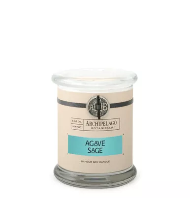 Agave Sage 8.6 oz. Glass Jar Candle by Archipelago