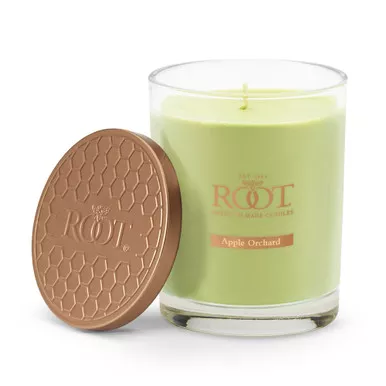 Apple Orchard Hive Glass Candle by Root