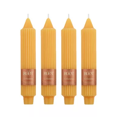 Butterscotch 7-Inch Grecian Collenette 4-Pack by Root