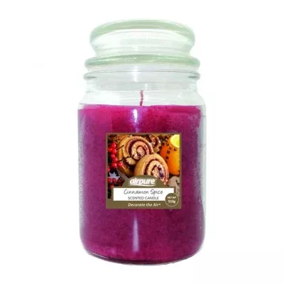 Cinnamon Spice Scented Candle 510 G