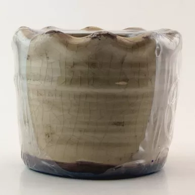 Coconut Lime Swan Creek Ruffled Edge Pot (Color: Yellow)
