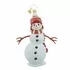 Country Frost Ornament by Christopher Radko