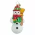 Dressed To Chill Classic Ornament by Christopher Radko