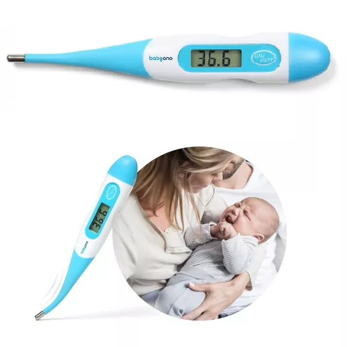 Electronic Thermometer