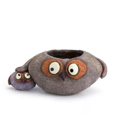 Georgetown Papaw and Chip Owl Bird Planter