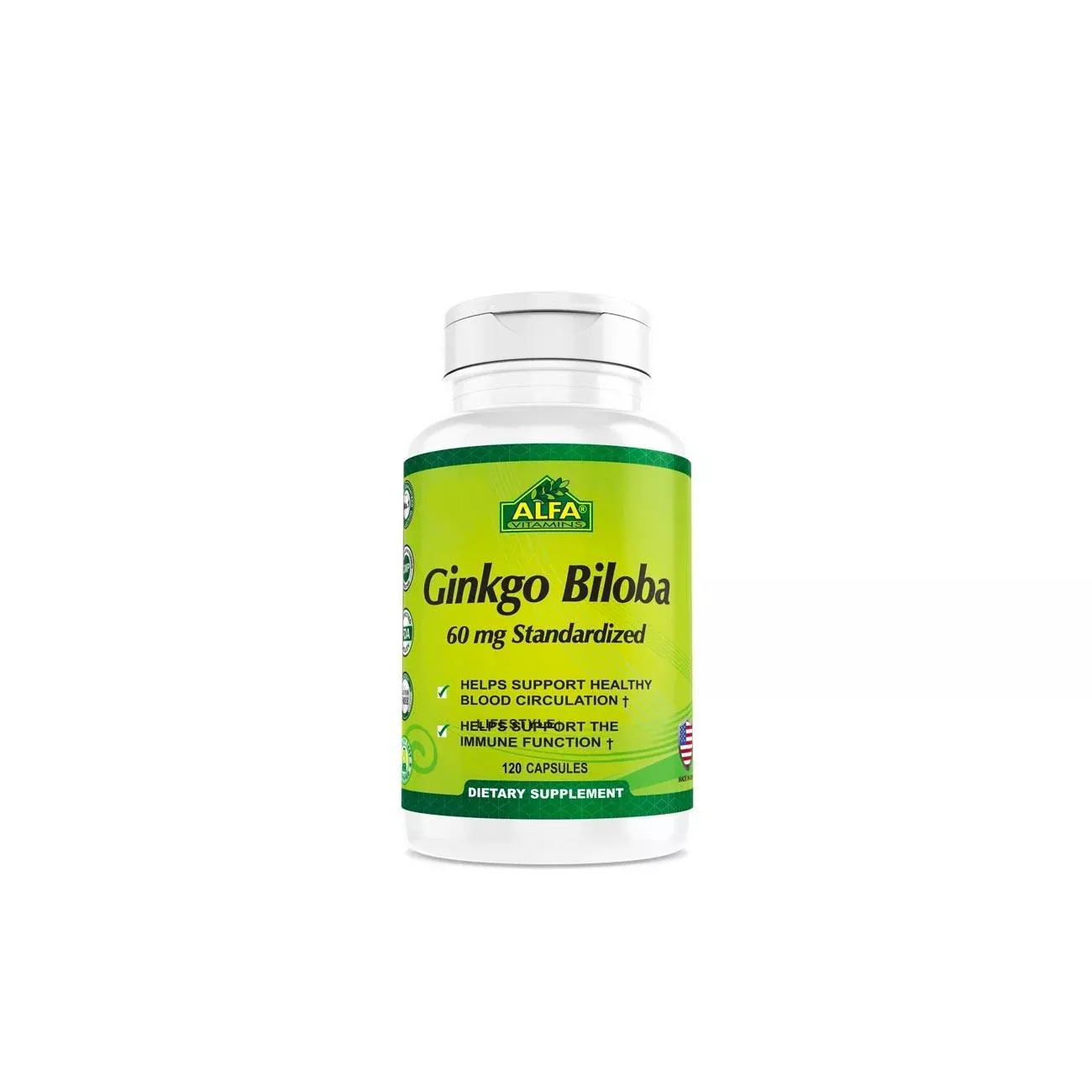 Ginkgo Biloba 120mg