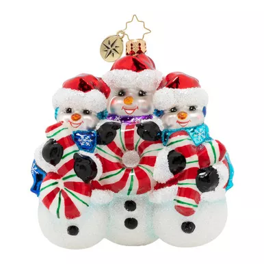 A Joy To Behold Ornament by Christopher Radko