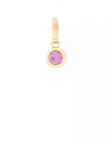 June Birthstones Charm - Style Spartina 449
