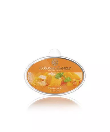 Mango Salsa Simmer Snaps Colonial Candle