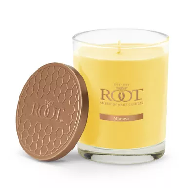 Mimosa Hive Glass Candle by Root Candles