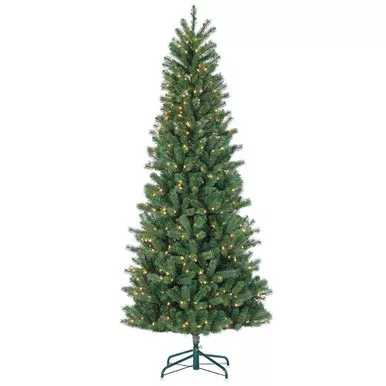 Natural Cut 7.5 ft. Slim Montgomery Pine by Sterling Tree