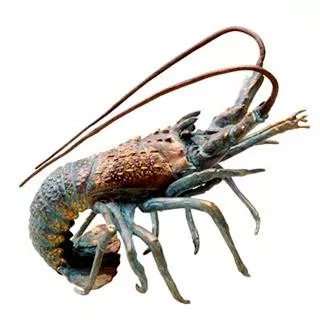 Night Walker Florida Lobster - SPI Home