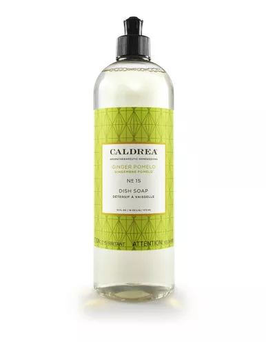 No. 15 Ginger Pomelo 16 oz. Dish Soap by Caldrea