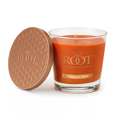 Pumpkin Spice 6.3 oz. Small Honeycomb Veriglass Candle by Root
