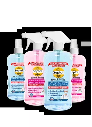 Sanitizer Spray