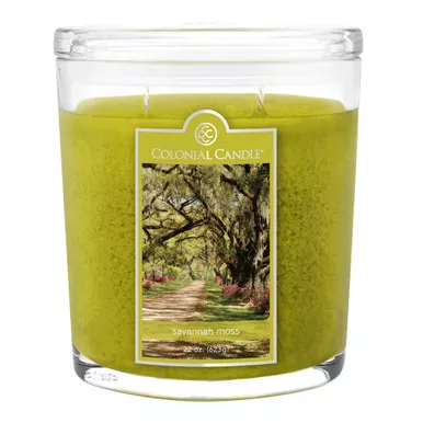 Savannah Moss 22 oz. Oval Jar Colonial Candle