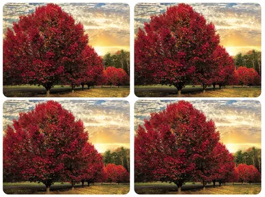 Set of 4 Crimson Trees Placemats by Pimpernel -