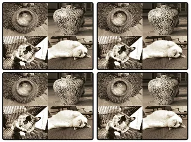 Set of 4 Kitty Club Placemats by Pimpernel