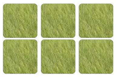 Set of 6 Grassy Meadow Coasters by Pimpernel
