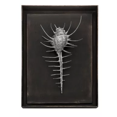 Venus Comb Shell Shadow Box - Antique Nickel by Michael Aram
