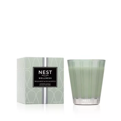 Wild Mint & Eucalyptus 8.1 oz. Classic Candle by Nest